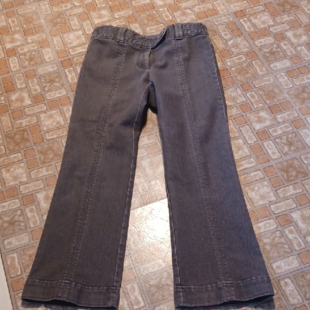 Ann Taylor Dark Gray Flare Jeans Modern Trouser Suze 6P